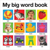 My Big Word Book (My Big Board Books): My Big Books